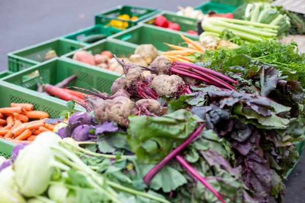 Foto: Andreas Franke, Lizenz: CMT Cottbus