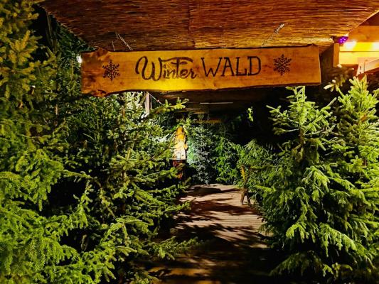 Cottbuser Winterwald, Foto: Frank Kuban, Lizenz: Frank Kuban