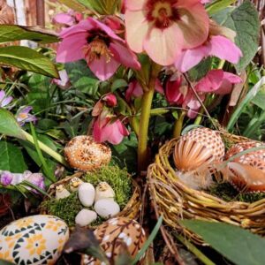 Foto: Familie Schubert, Lizenz: Familie Schubert