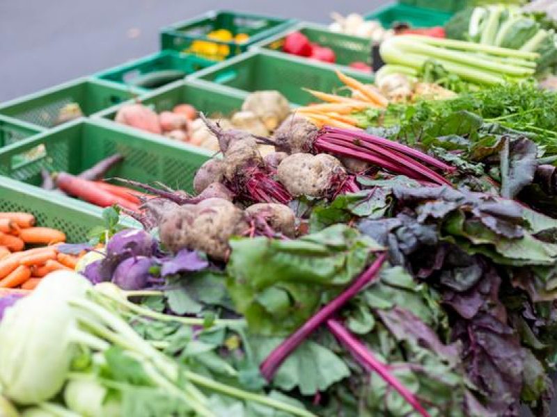 Foto: Andreas Franke, Lizenz: CMT Cottbus