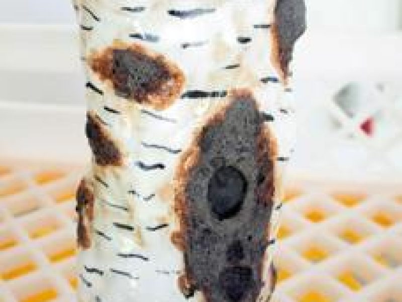 Foto: Karoline Schneider, Lizenz: Karoline Schneider